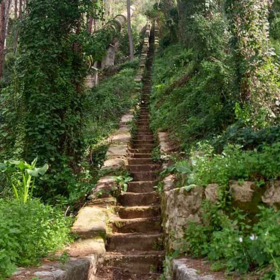 Longest stairs in Lebanon