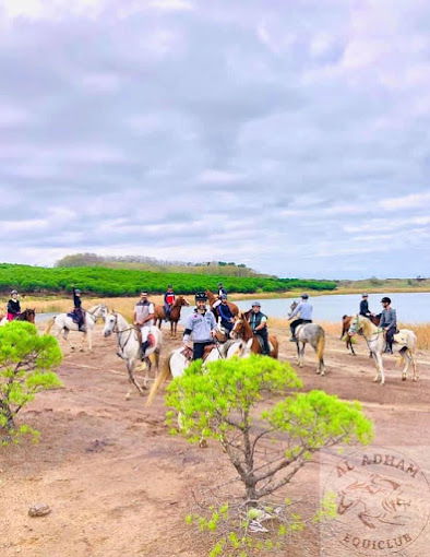 نادي الأدهم لركوب الخيل