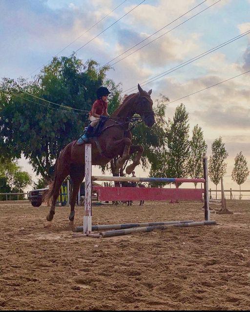 Hacienda horse riding