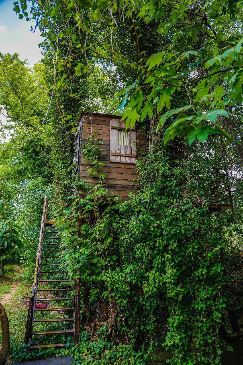 Tree House by the River – Sirjbel, Chouf