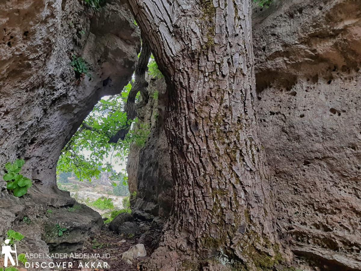 Al Lezab Trail – Wadi Khaled, Akkar