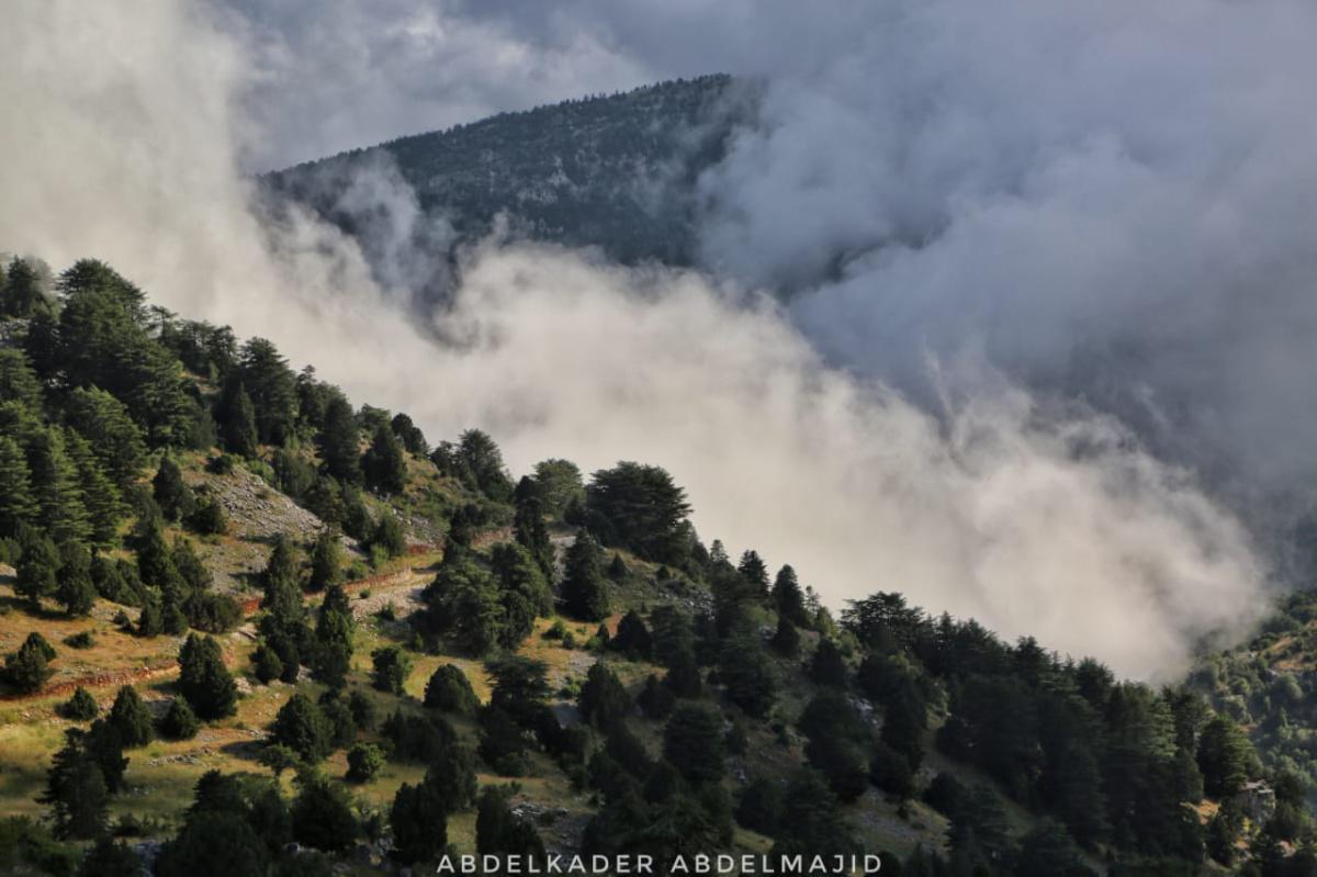 Lizab and Cedar Trail –  Akkar