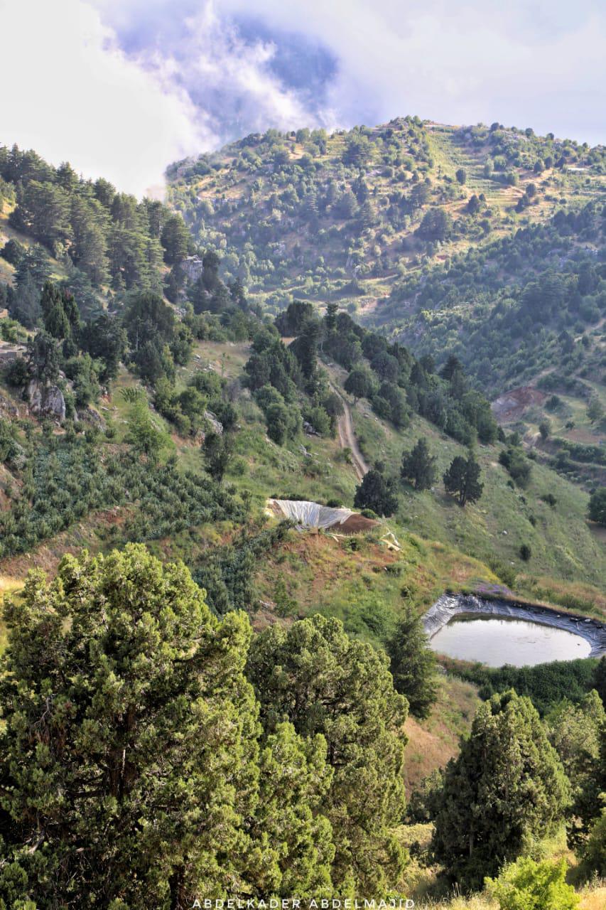 Lizab and Cedar Trail –  Akkar