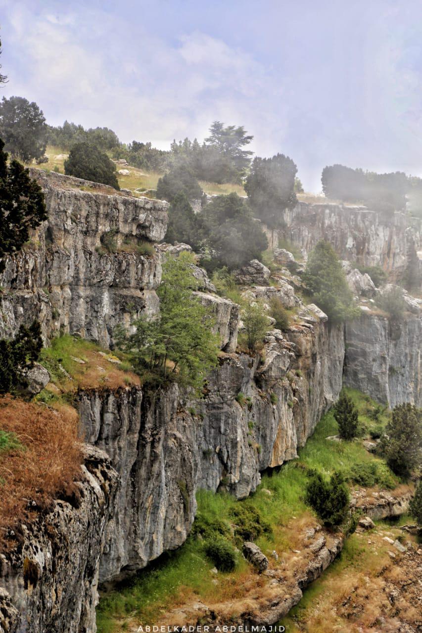 Lizab and Cedar Trail –  Akkar