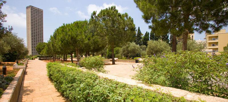 Sheikh Abdel Rahman El Hout Garden