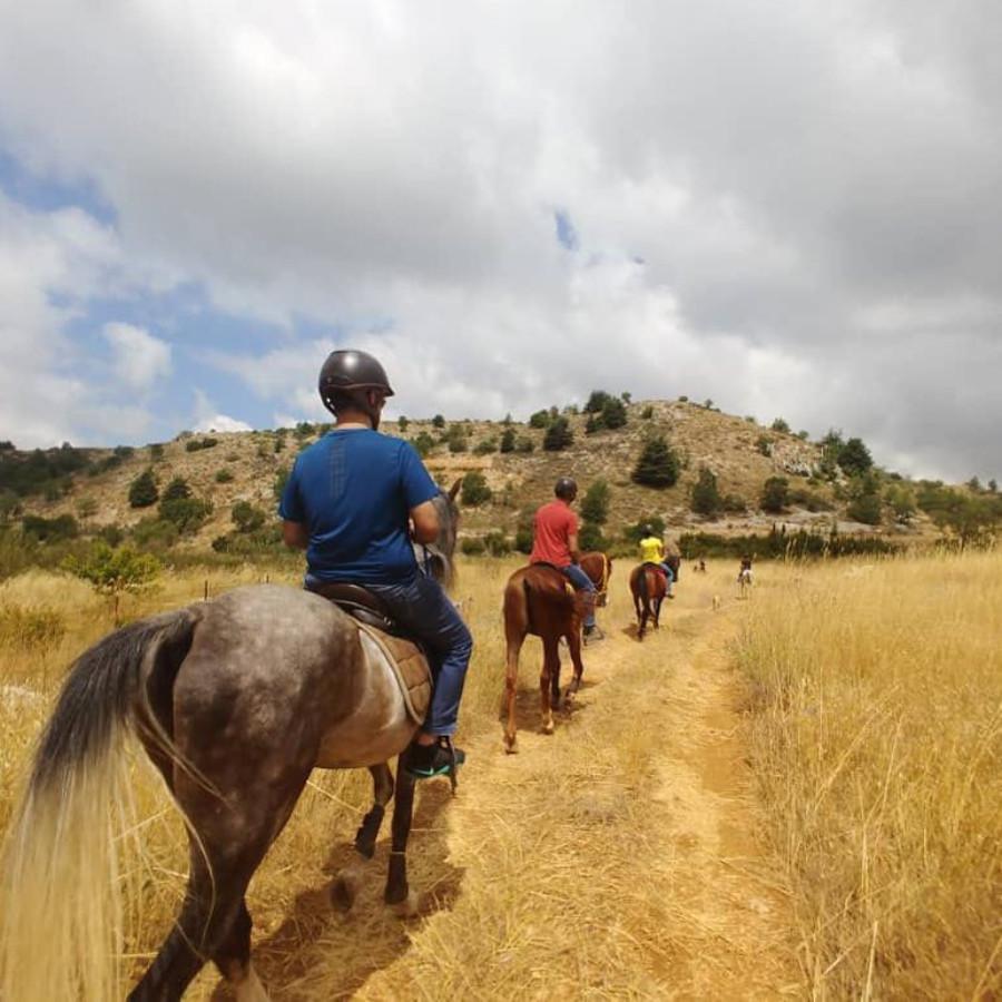 نادي سيدارز لركوب الخيل