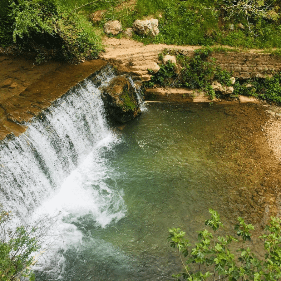 نبع عرب صاليم