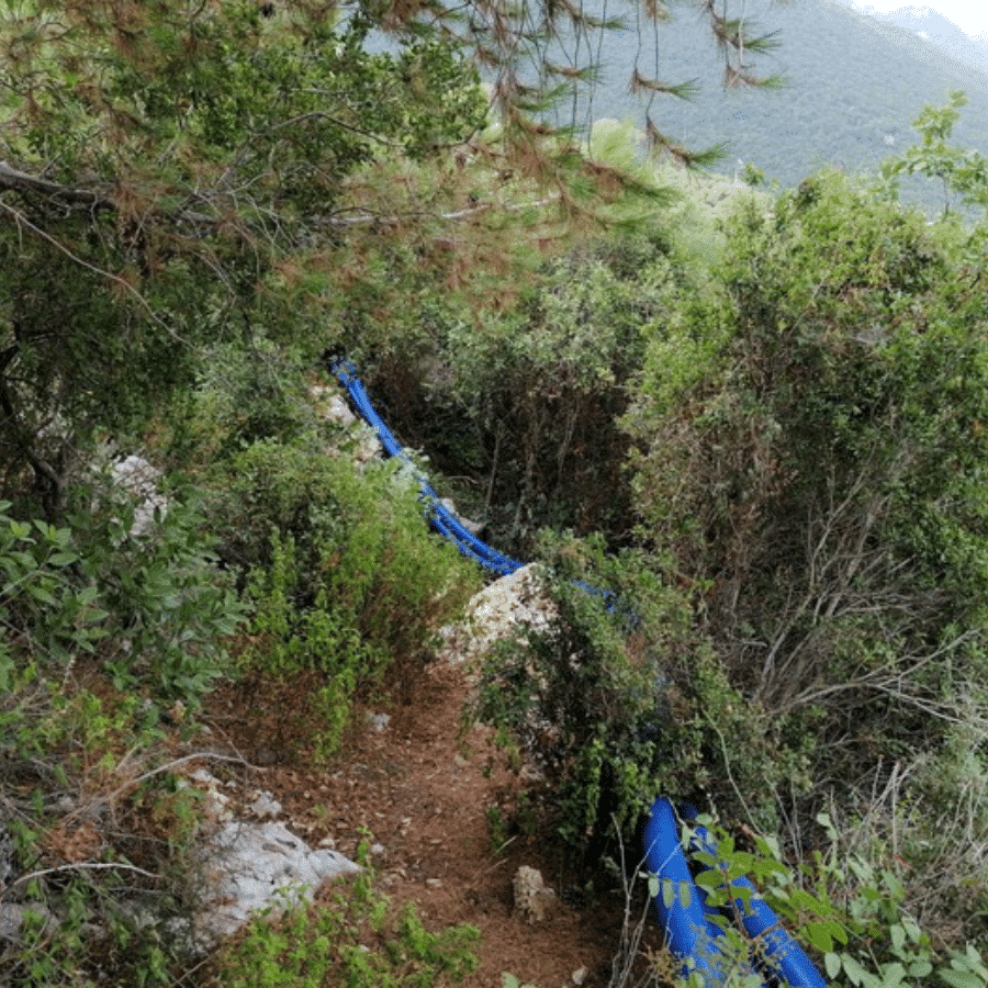 Chnaniir Nature Reserve