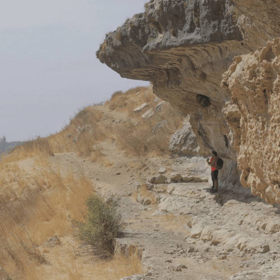 أحلام غولف اند مونتاين فلاج