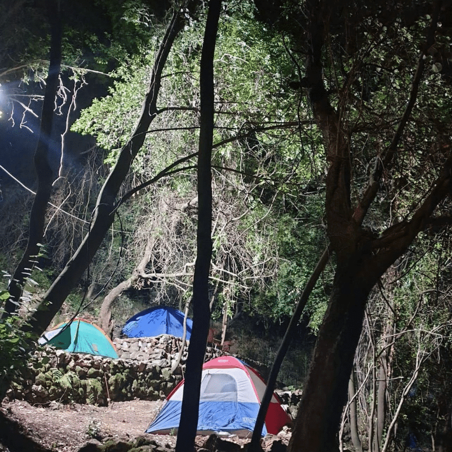 Gaia’s camping