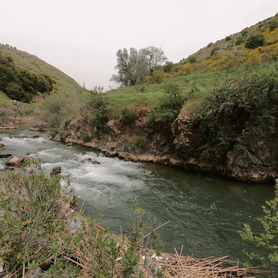 Hasbani River