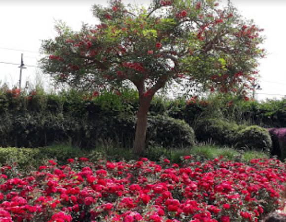 Jbeil public park