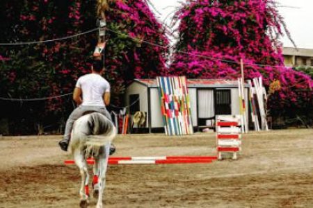 Cavallo Horse Club