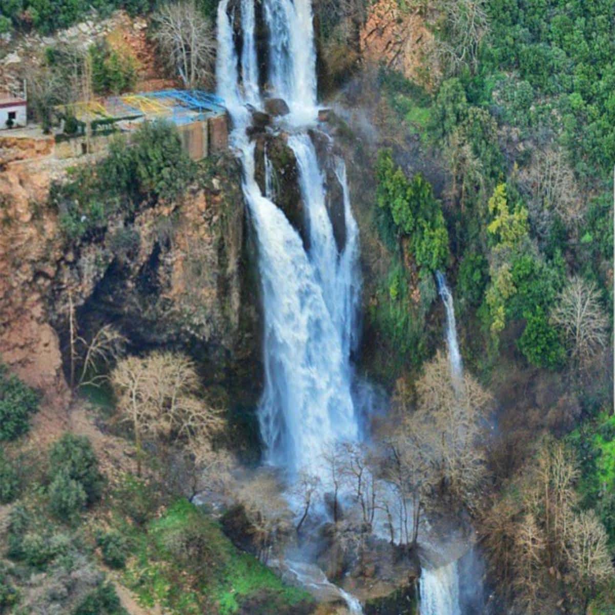 Start Your Tour in Kfarhelda Waterfall