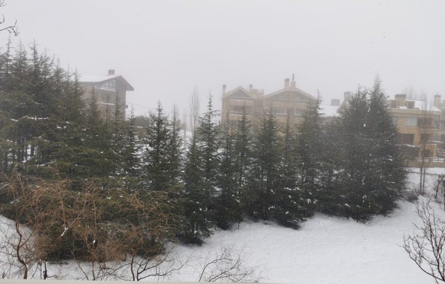 Chalet Tilal el asal – Mzaar Kfardebian