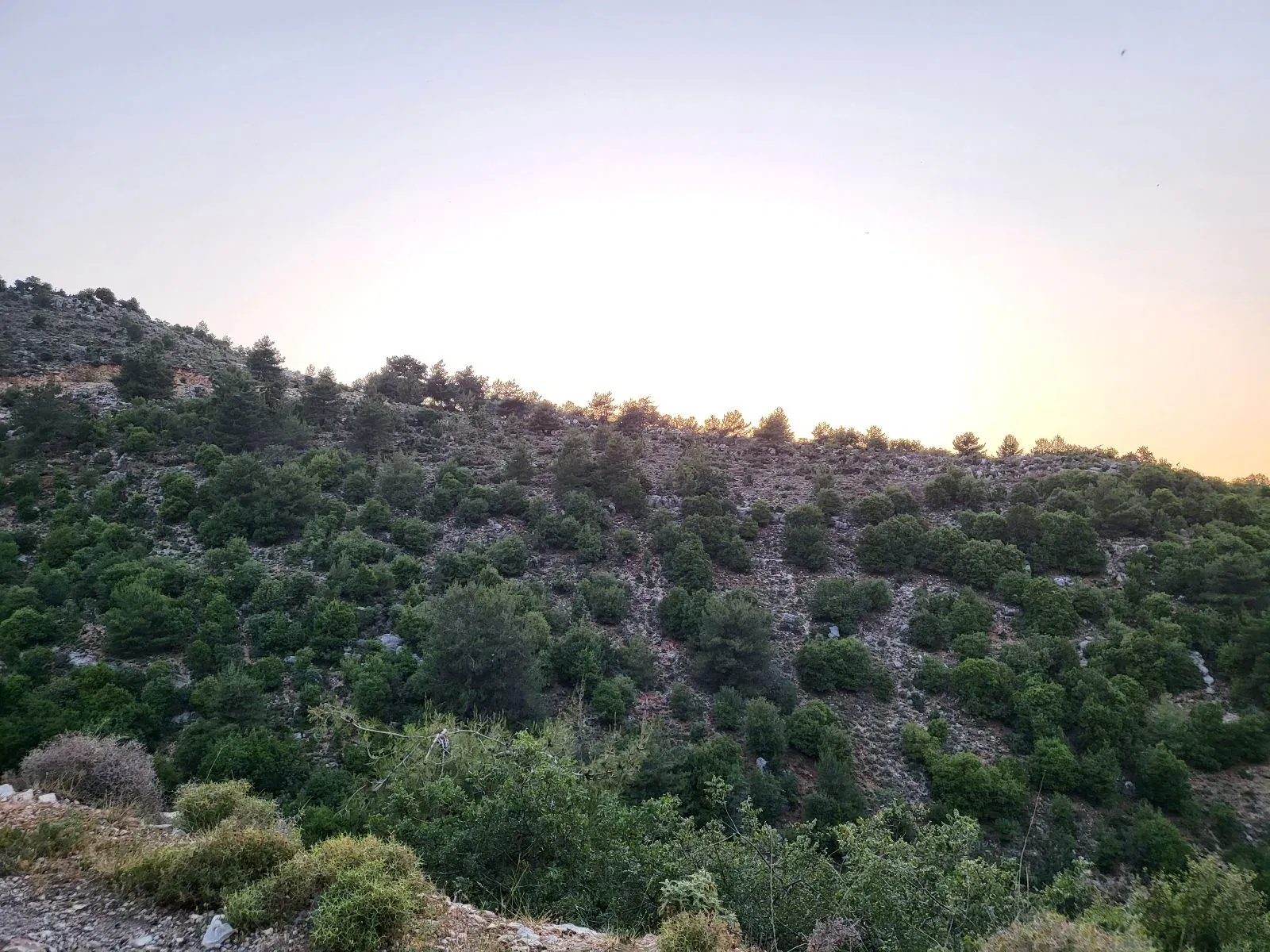 Scenic Drive from Beit Sabra to Kfar Habou