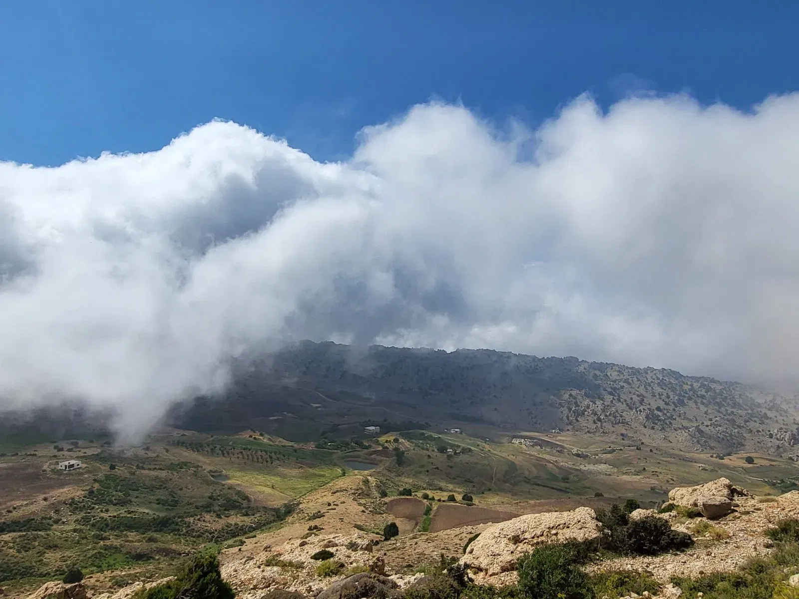 View Jerd Mrebbine