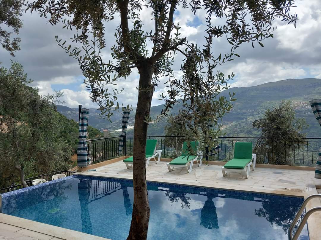 Chalet with Pool – Baisour, Aley