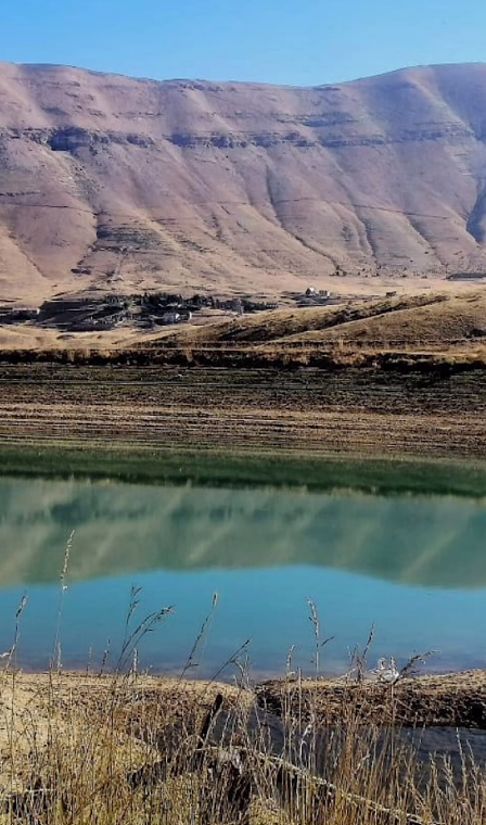 هايك عالغروب و بليل من أرز بشري لبقاع كفرا